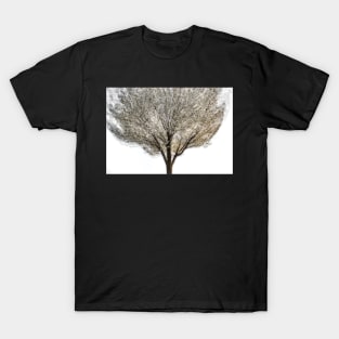 Cherry Tree Multiple Exposure Abstract T-Shirt